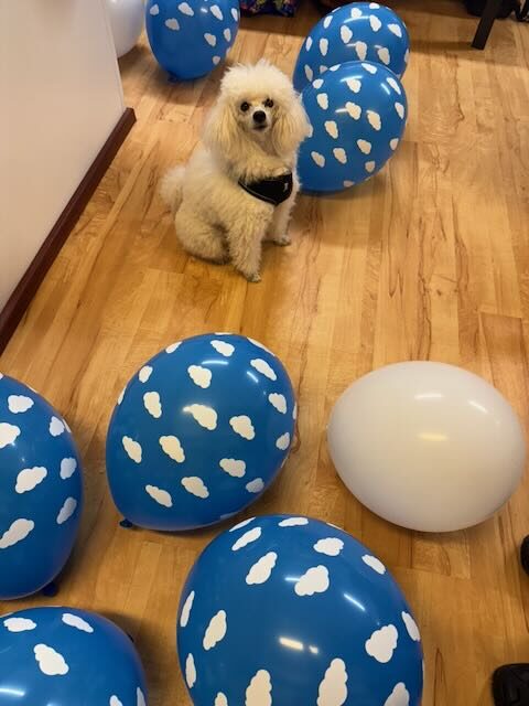 Club mascot